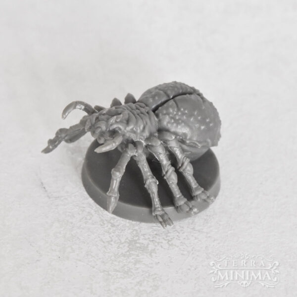 Blacklist Miniature - Spinnen (5)