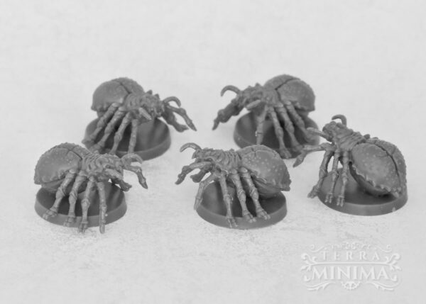 Blacklist Miniature - Spinnen (5) – Bild 3